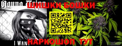 стаф Пенза