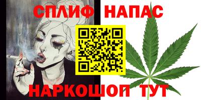 стаф Пенза