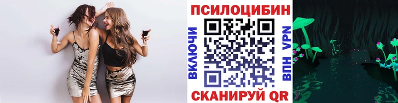 как найти наркотики  площадка официальный сайт  Галлюциногенные грибы ЛСД  Невинномысск 