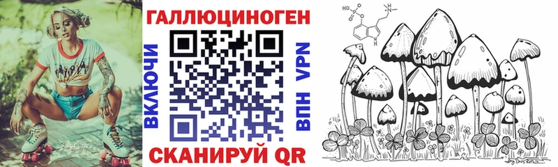 Псилоцибиновые грибы Psilocybine cubensis Невинномысск