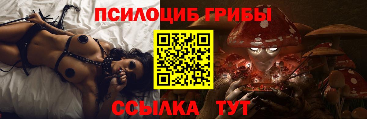Псилоцибиновые грибы Magic Shrooms  Вход с VPN  Невинномысск  Галлюциногенные грибы GOLDEN TEACHER 