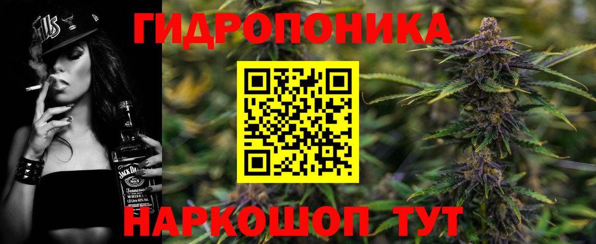 Каннабис семена Невинномысск